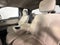 2009 Ford F-150 XL w/ ONE OWNER
