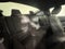 2012 Ford Mustang V6 w/ CLEAN CARFAX