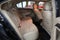 2013 Ford Taurus SEL (PRE-AUCTION)