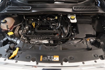 2019 Ford Escape SE 4WD