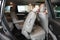 2019 Toyota Highlander XLE ( AWD )