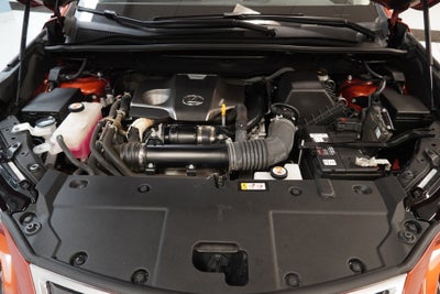 2021 Lexus NX 300 Base AWD