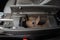 2021 BMW 5 Series 530e iPerformance AWD