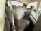 2011 Hyundai Accent GL