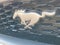 2021 Ford Mustang Mach 1