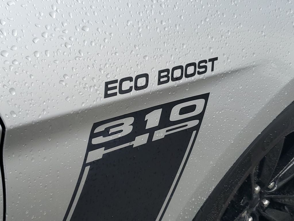 2019 Ford Mustang EcoBoost