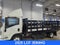 2025 Chevrolet Low Cab Forward 3500 HG MEDIUM ASH GRAY
