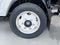 2024 Chevrolet Low Cab Forward 4500 HG Base