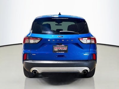 2020 Ford Escape SE AWD